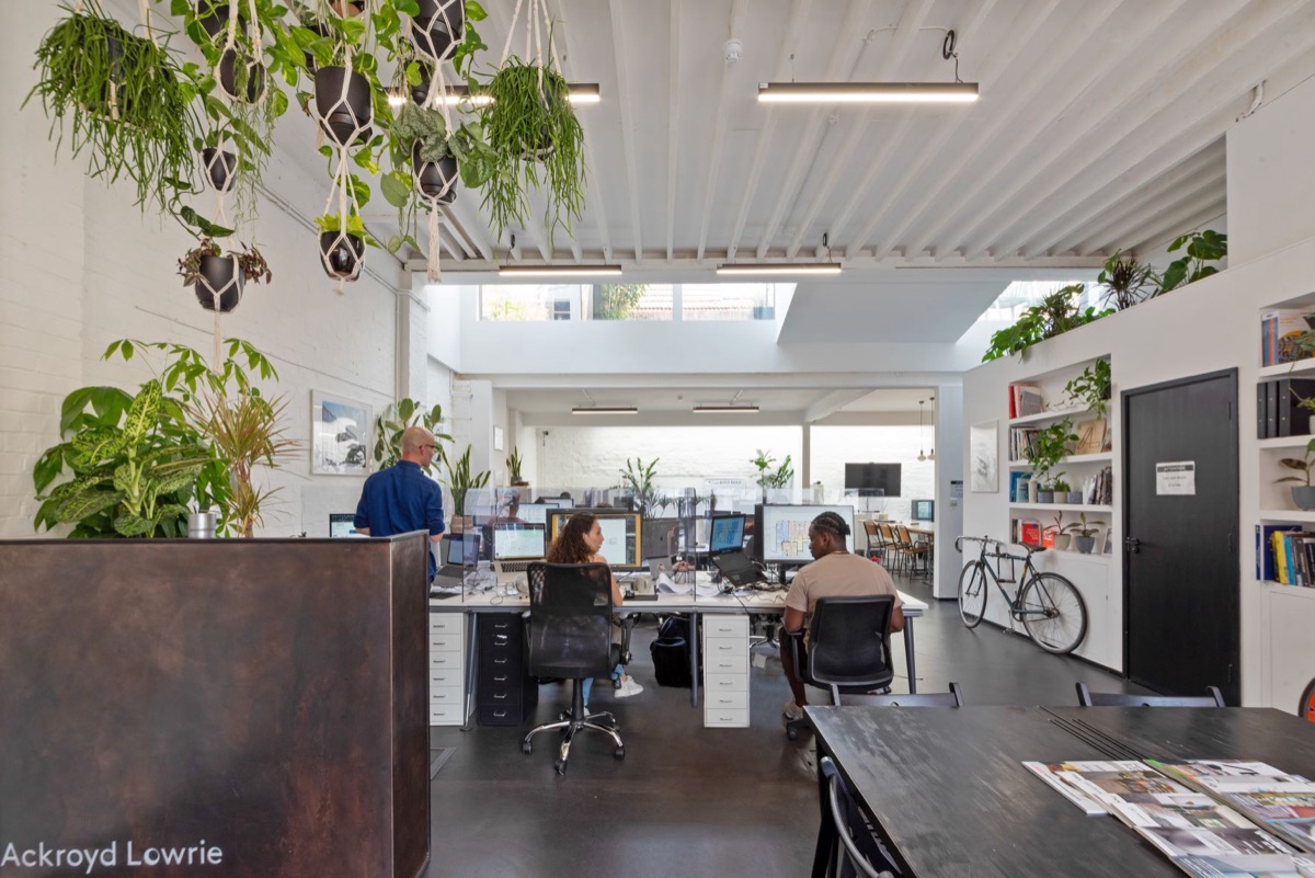 Open-plan East London studio with desks, hanging plants and a bike